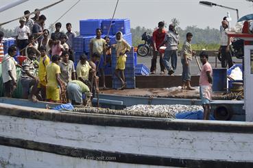 01 River_Sal_Cruise,_Goa_DSC6969_b_H600